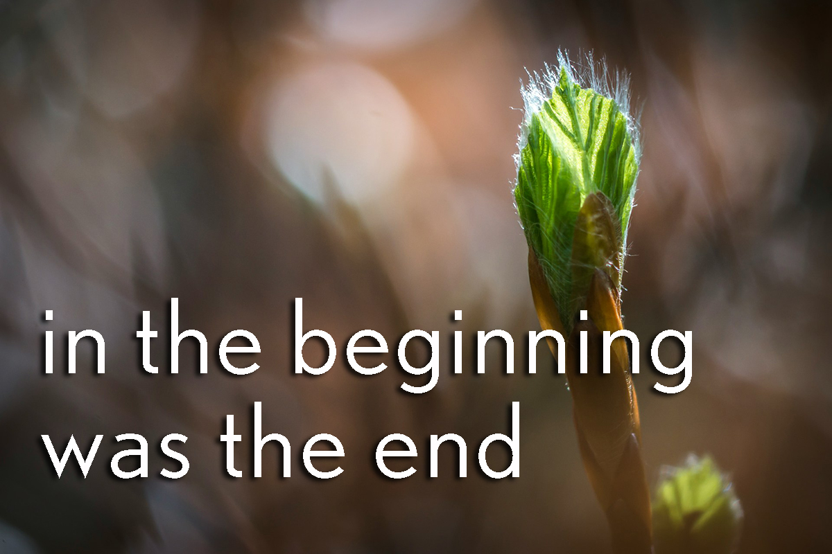 In The Beginning Was The End