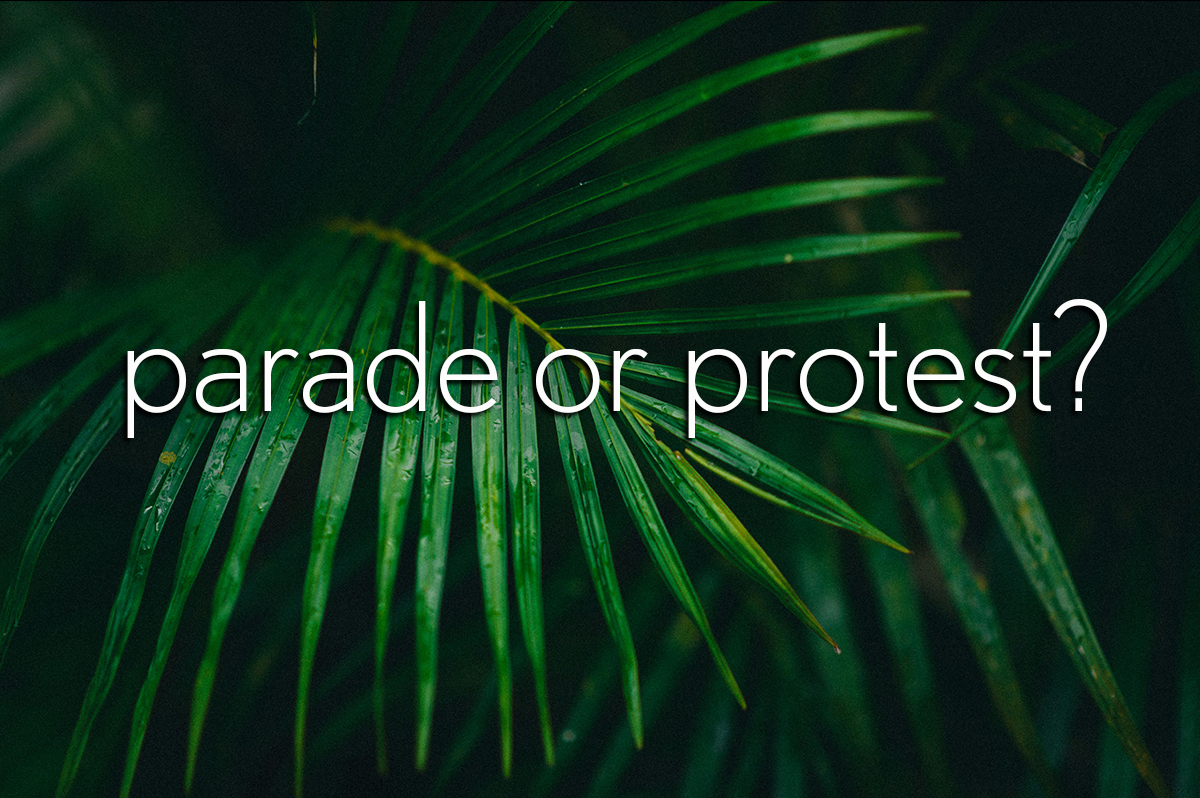 parade or protest? – John 12:12-16