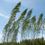 Normal Heights United