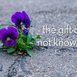 Normal Heights United