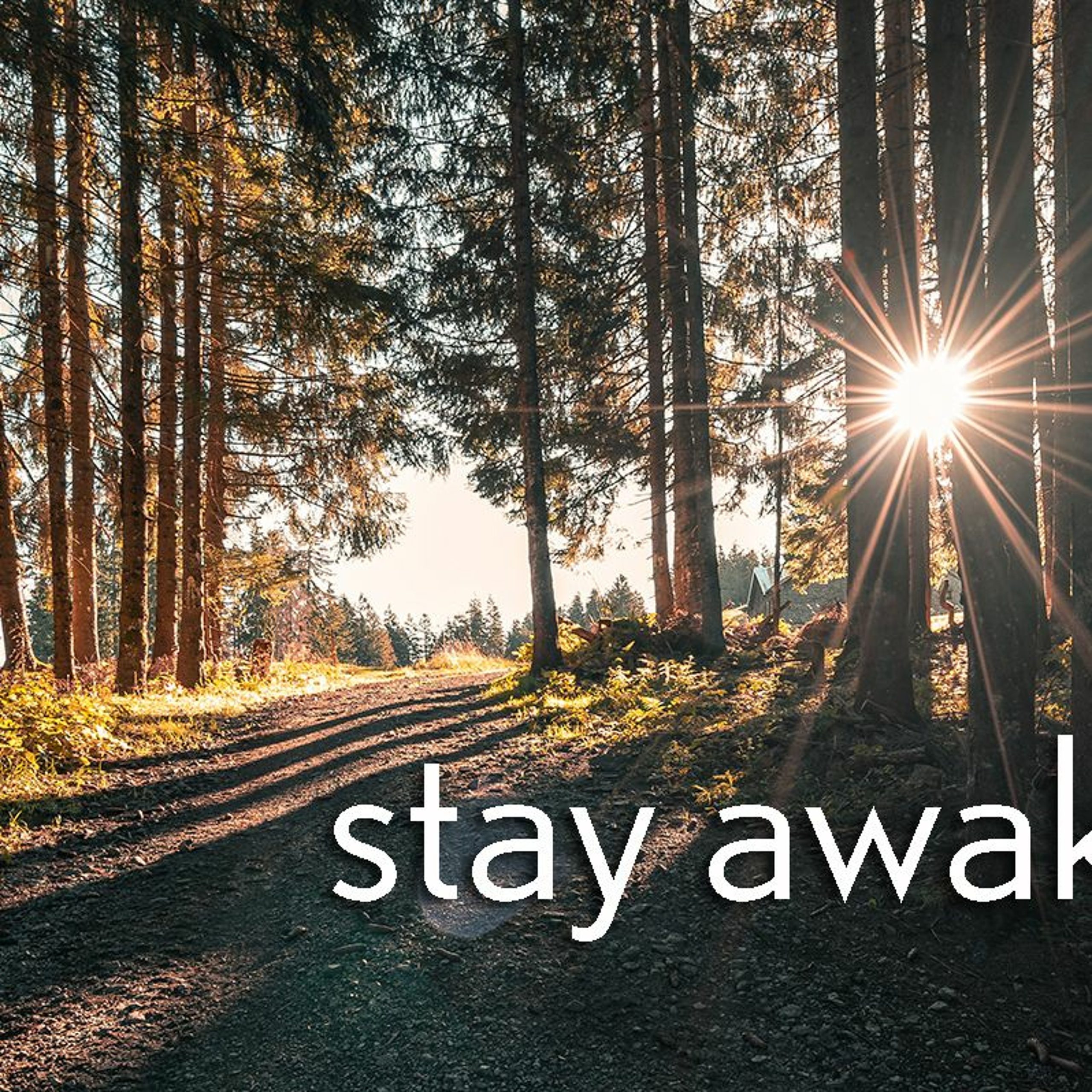 Stay Awake – Matthew 25:1-13