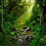 Normal Heights United