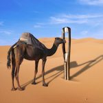 Normal Heights United