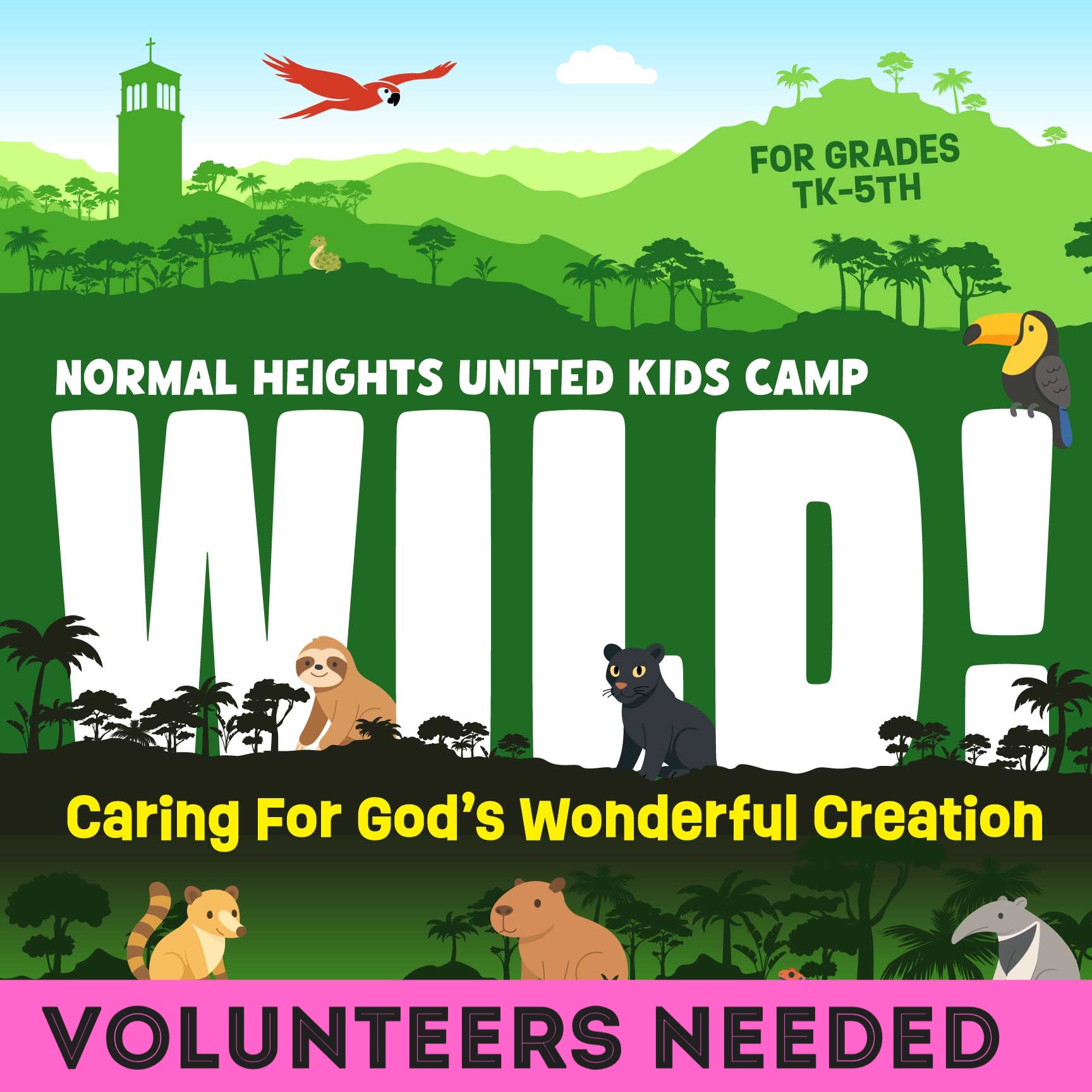 Volunteers Needed For Summer Kids Camp